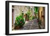 Italian Street in A Small Provincial Town of Tuscan-Alan64-Framed Photographic Print