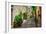 Italian Street in A Small Provincial Town of Tuscan-Alan64-Framed Photographic Print