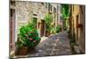 Italian Street in A Small Provincial Town of Tuscan-Alan64-Mounted Photographic Print