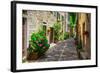 Italian Street in A Small Provincial Town of Tuscan-Alan64-Framed Photographic Print