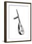 Italian Theorbo, 16th Century-null-Framed Giclee Print