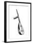 Italian Theorbo, 16th Century-null-Framed Giclee Print