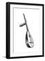 Italian Theorbo, 16th Century-null-Framed Giclee Print