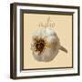 Italian Vegetable III-Vision Studio-Framed Art Print