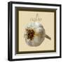 Italian Vegetables III-Vision Studio-Framed Art Print