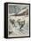 Italian Victory in Ski Team Event at Garmisch-Vittorio Pisani-Framed Stretched Canvas