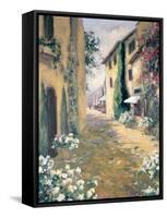 Italian Villa II-Allayn Stevens-Framed Stretched Canvas