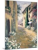 Italian Villa II-Allayn Stevens-Mounted Art Print