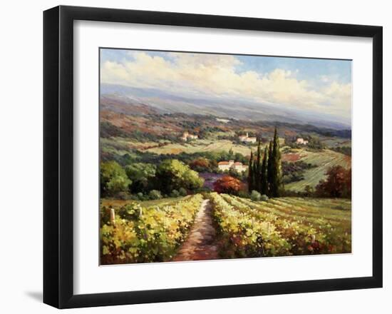 Italian Vineyards-Andino-Framed Art Print