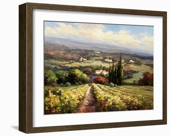 Italian Vineyards-Andino-Framed Art Print