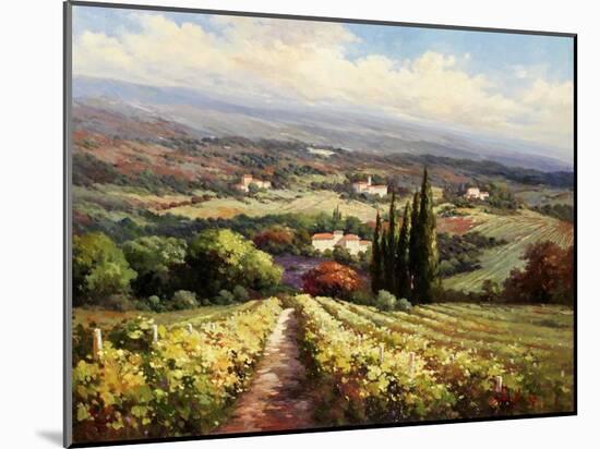 Italian Vineyards-Andino-Mounted Art Print