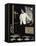 Italian Waiter-Dale Kennington-Framed Stretched Canvas