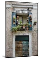 Italian Window Flowers I-Laura DeNardo-Mounted Photographic Print