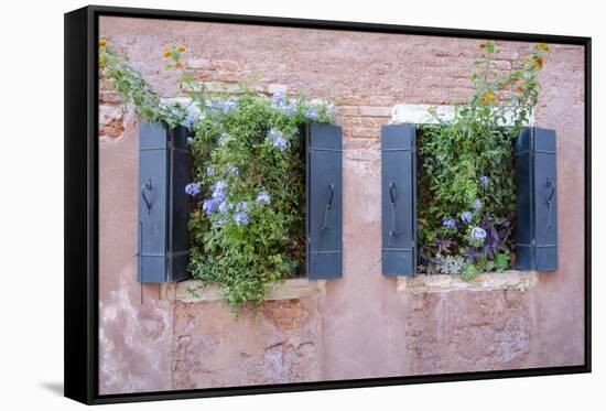 Italian Window Flowers II-Laura DeNardo-Framed Stretched Canvas