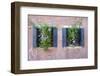 Italian Window Flowers II-Laura DeNardo-Framed Photographic Print