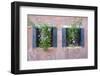 Italian Window Flowers II-Laura DeNardo-Framed Photographic Print