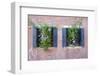 Italian Window Flowers II-Laura DeNardo-Framed Photographic Print