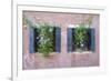 Italian Window Flowers II-Laura DeNardo-Framed Photographic Print