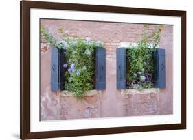 Italian Window Flowers II-Laura DeNardo-Framed Photographic Print