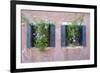 Italian Window Flowers II-Laura DeNardo-Framed Photographic Print