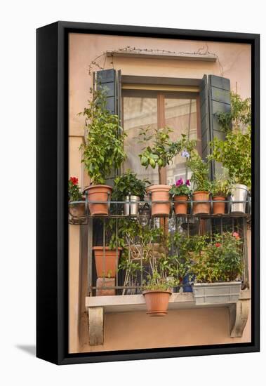 Italian Window Flowers III-Laura DeNardo-Framed Stretched Canvas