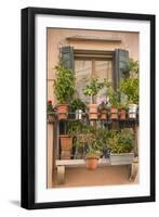 Italian Window Flowers III-Laura DeNardo-Framed Photographic Print