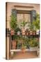 Italian Window Flowers III-Laura DeNardo-Stretched Canvas