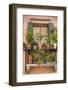 Italian Window Flowers III-Laura DeNardo-Framed Photographic Print