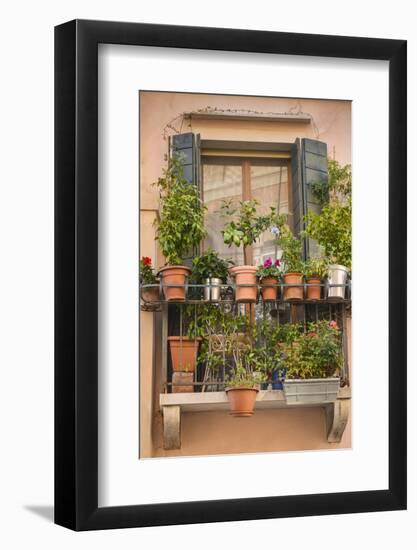 Italian Window Flowers III-Laura DeNardo-Framed Photographic Print