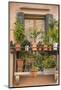 Italian Window Flowers III-Laura DeNardo-Mounted Photographic Print