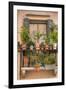 Italian Window Flowers III-Laura DeNardo-Framed Photographic Print