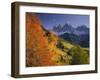 Italien, Sv¼dtirol, Villnv?VŸtal, Dolomiten, St. Magdalena, Geislerspitzen, Herbst-Thonig-Framed Photographic Print