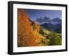 Italien, Sv¼dtirol, Villnv?VŸtal, Dolomiten, St. Magdalena, Geislerspitzen, Herbst-Thonig-Framed Photographic Print