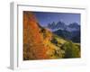 Italien, Sv¼dtirol, Villnv?VŸtal, Dolomiten, St. Magdalena, Geislerspitzen, Herbst-Thonig-Framed Photographic Print