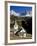 Italien, Sv¼dtirol, Villnv?VŸtal, St. Cyprian, Geislerspitzen, AuvŸen, Berglandschaft-Thonig-Framed Photographic Print