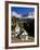 Italien, Sv¼dtirol, Villnv?VŸtal, St. Cyprian, Geislerspitzen, AuvŸen, Berglandschaft-Thonig-Framed Photographic Print