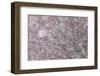 Italy, Abruzzo, Snowflakes Swirling around Almost Bare Trees, Campo Imperatore Area.-Vincenzo Mazza-Framed Photographic Print