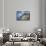 Italy, Amalfi Coast, Positano-Rob Tilley-Mounted Premium Photographic Print displayed on a wall