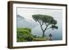 Italy, Amalfi Coast, Ravello, view of Coastline from Villa Rufolo-Rob Tilley-Framed Photographic Print