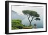 Italy, Amalfi Coast, Ravello, view of Coastline from Villa Rufolo-Rob Tilley-Framed Photographic Print