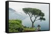 Italy, Amalfi Coast, Ravello, view of Coastline from Villa Rufolo-Rob Tilley-Framed Stretched Canvas