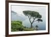 Italy, Amalfi Coast, Ravello, view of Coastline from Villa Rufolo-Rob Tilley-Framed Photographic Print