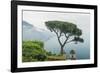 Italy, Amalfi Coast, Ravello, view of Coastline from Villa Rufolo-Rob Tilley-Framed Photographic Print