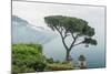 Italy, Amalfi Coast, Ravello, view of Coastline from Villa Rufolo-Rob Tilley-Mounted Photographic Print