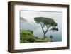 Italy, Amalfi Coast, Ravello, view of Coastline from Villa Rufolo-Rob Tilley-Framed Premium Photographic Print