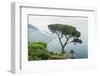 Italy, Amalfi Coast, Ravello, view of Coastline from Villa Rufolo-Rob Tilley-Framed Premium Photographic Print