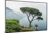 Italy, Amalfi Coast, Ravello, view of Coastline from Villa Rufolo-Rob Tilley-Mounted Premium Photographic Print