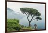 Italy, Amalfi Coast, Ravello, view of Coastline from Villa Rufolo-Rob Tilley-Framed Photographic Print