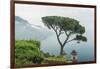 Italy, Amalfi Coast, Ravello, view of Coastline from Villa Rufolo-Rob Tilley-Framed Photographic Print
