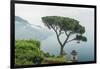 Italy, Amalfi Coast, Ravello, view of Coastline from Villa Rufolo-Rob Tilley-Framed Photographic Print